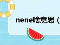 nene啥意思（网名nell是什么意思）