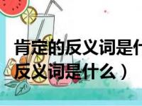 肯定的反义词是什么三年级上册语文（肯定的反义词是什么）