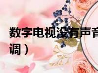 数字电视没有声音怎么调（电视没有声音怎么调）