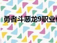 勇者斗恶龙9职业任务（勇者斗恶龙9 职业）