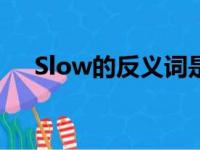 Slow的反义词是什么（slow的反义词）