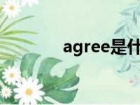 agree是什么意思（agrees）