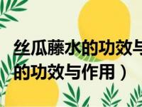 丝瓜藤水的功效与作用及制法视频（丝瓜藤水的功效与作用）