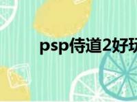 psp侍道2好玩吗（psp侍道2秘籍）