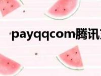 payqqcom腾讯充值中心和平（pay qq）