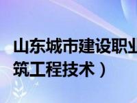 山东城市建设职业学院古建筑工程技术（古建筑工程技术）