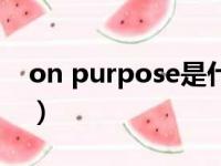 on purpose是什么意思英语（on purpose）