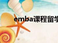 emba课程留学申请书（emba课程）