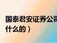 国泰君安证券公司是做什么的（证券公司是做什么的）