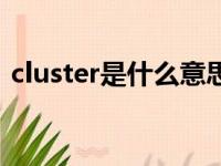 cluster是什么意思啊（cluster是什么意思）