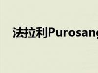 法拉利Purosangue跨界SUV的新测试仪