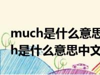 much是什么意思中文翻译怎么读出来（much是什么意思中文）