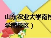 山东农业大学南校区是哪个校区（山东农业大学南校区）