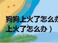 狗狗上火了怎么办眼上有眼屎吃什么药（狗狗上火了怎么办）