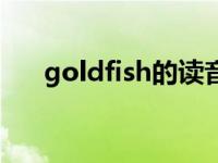 goldfish的读音（goldfish怎么读音）