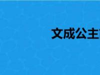 文成公主简介资料（文乃）