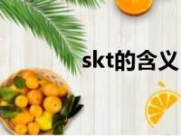 skt的含义（skt是什么意思）