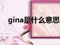 gina是什么意思中文（gina是什么意思）