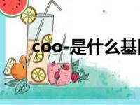 coo-是什么基团（cooh是什么基团）