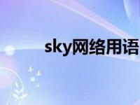 sky网络用语（网络sky是啥意思）