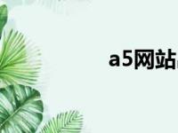 a5网站出售（a5网站）