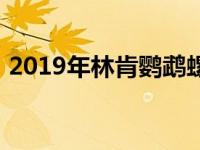 2019年林肯鹦鹉螺回忆起提醒司机保持双手