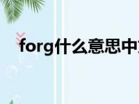 forg什么意思中文（forgot是什么意思）