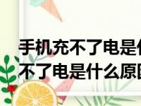 手机充不了电是什么原因?荣耀X50（手机充不了电是什么原因）