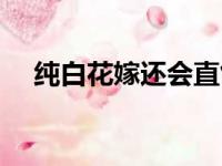 纯白花嫁还会直售吗（纯白花嫁多少钱）