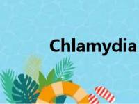 Chlamydia 翻译（chlamydia）