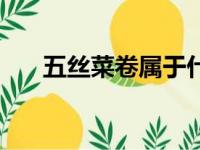 五丝菜卷属于什么特色菜（五丝菜卷）