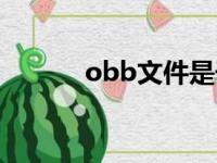 obb文件是干嘛的（obb文件）