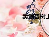 卖银杏树上哪卖（卖银杏树）