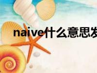 naive什么意思发音（naive是什么意思）