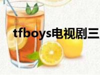 tfboys电视剧三只松鼠（tfboys电视剧）