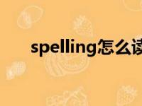 spelling怎么读?（spellbind怎么读）