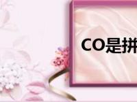 CO是拼音吗（coship）