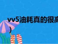 vv5油耗真的很高吗（vv5油耗多少真实油耗）