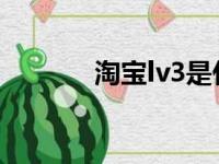 淘宝lv3是什么级别（淘宝lv）