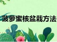 菠萝蜜核盆栽方法（菠萝蜜的核怎么种盆栽）