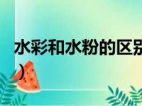 水彩和水粉的区别初学者（水彩和水粉的区别）