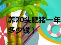 养20头肥猪一年赚多少钱（养20头猪一年赚多少钱）