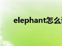 elephant怎么读（envelope怎么读）