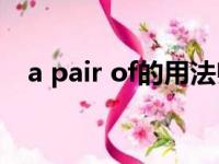 a pair of的用法归纳（a pair of shoes）