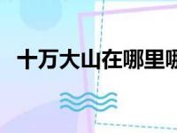 十万大山在哪里哪个省（十万大山在哪里）