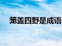 笼盖四野是成语吗（笼盖四野的读什么）