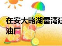 在安大略湖雷湾建立第一个区域锂电池材料炼油厂