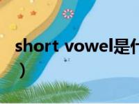 short vowel是什么意思（in short什么意思）