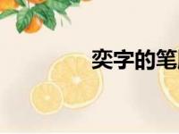 奕字的笔顺（广字的笔顺）