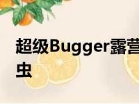 超级Bugger露营者是您可以居住的大众甲壳虫